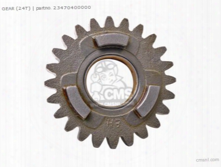 Gear (24t)