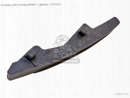 Guide,cam Chain,front