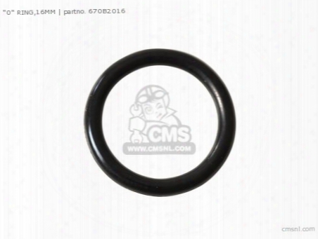 'o' Ring,16