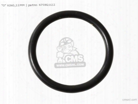 O" Ring,22mm