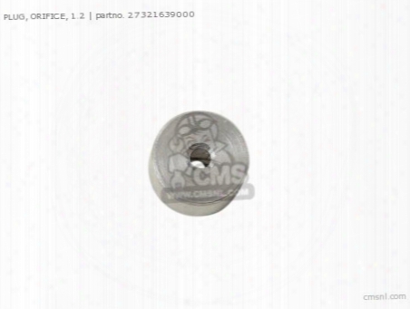Plug, Orifice, 1.2