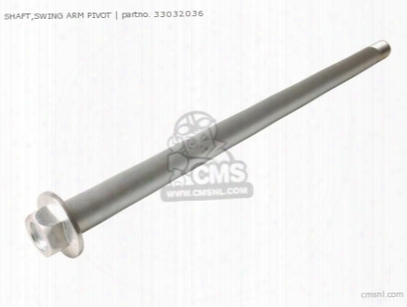 Shaft-swing Arm Pivot