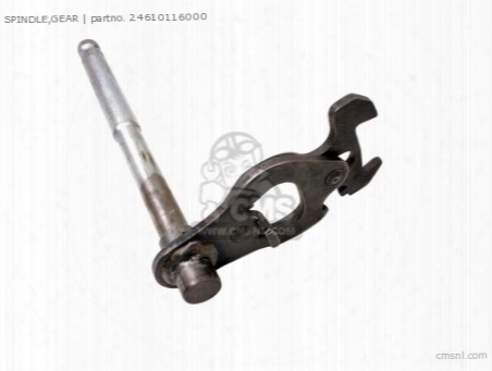 Spindle,gear