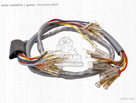 Wire Harness