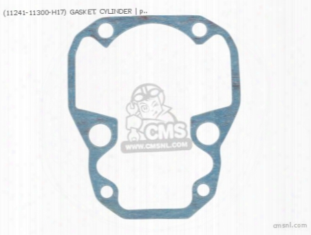 (11241-11300-h17) Gasket, Cylinder