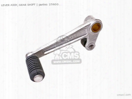 (25600-17g01) Gear Shifting Lever