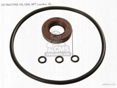 (3178027x50) Oil Seal Set