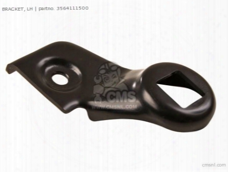 Bracket,rear Turn Signal