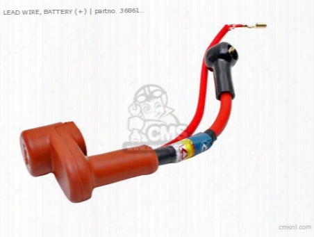 Lead Wire,battery Plus