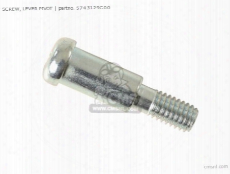 Screw,brake Lever Pivot