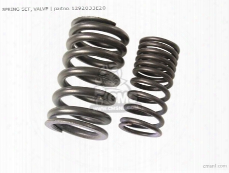 Spring Set,valve