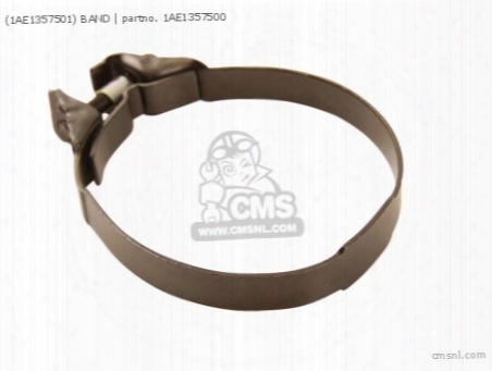 (1ae1357501) Band