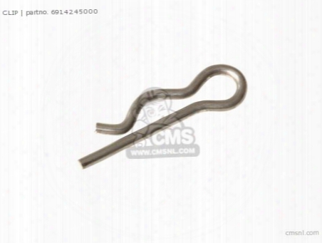 Clip,pad Pin