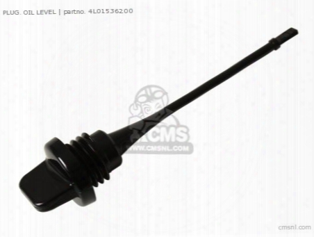Plug, Oil Level