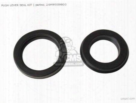 Push Lever Seal Kit