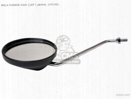 Rear View Mirror Assy(left)