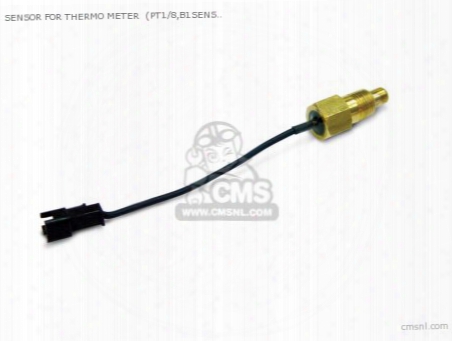 Sensor For Thermo Meter (pt1/8,b1sensor ) For Compact Lcdmeter,