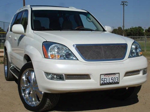 2009 Lexus Gx470 T-rex Grilles Upper Class; Mesh Grille