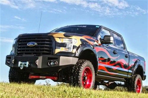 2015 Ford F-150 Fab Fours Winch Bumperi N Bare Steel