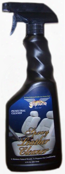 Gliptone Leather Cleaner Spray 17 Oz
