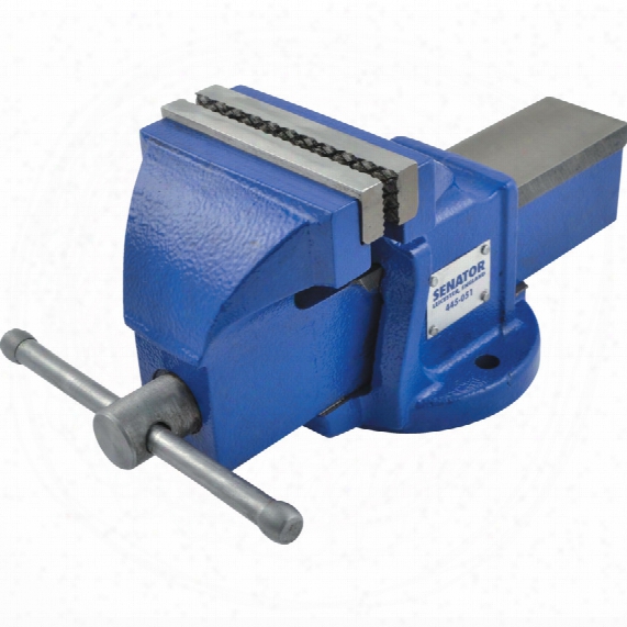 Senator 100mm Light Duty Bench Vice