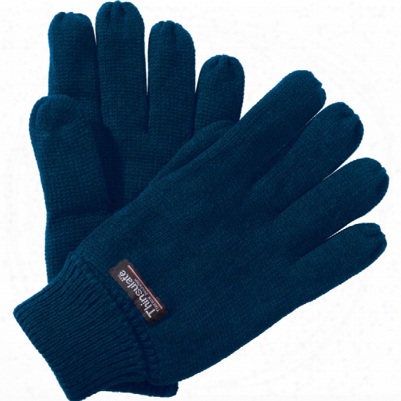 Regatta Trg207 Thinsulate Gloves Navy
