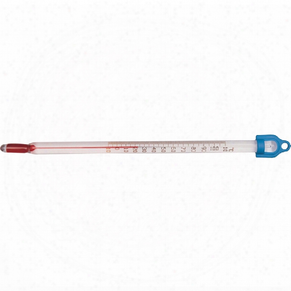 Brannan 44/403/0 305mm 10/110 Siprit Thermometer