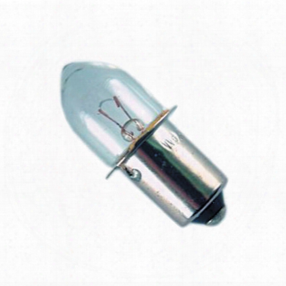 Bulb For Senior Life Lantern