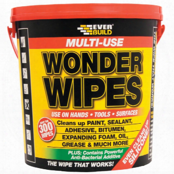 Ever Build Giant Wonder Wipes (tub-300)