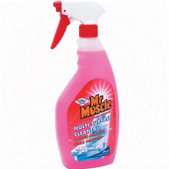 Mr Muscle Multi-surface Cleaner 750ml