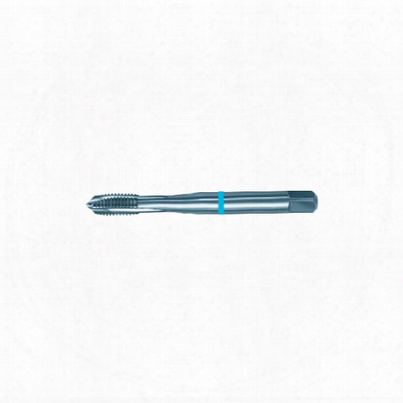 Walter Prototyp 7021300 M8 Sp/pt Hss-e Tap