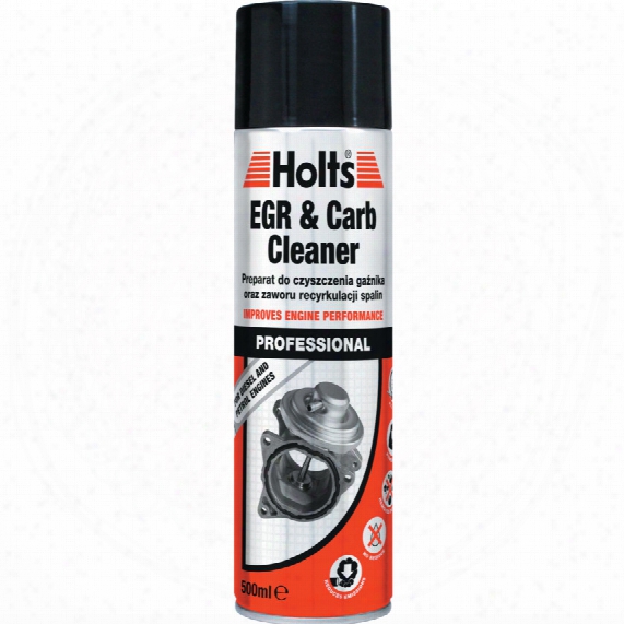 Holts Hmtn0201a Professional Carburettor & Egr Cleaner