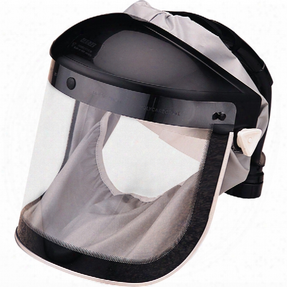 3m 400-22-260p10x4 Peel-off Visors (case-4x10)