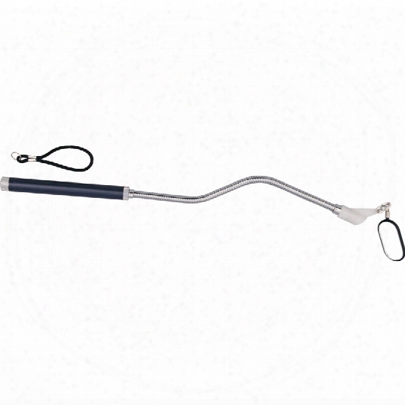 Kennedy Flexible Mirror With Light