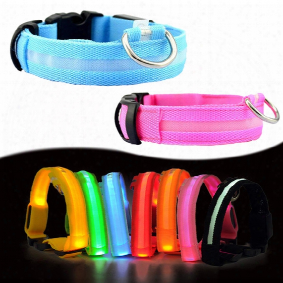 Nylon Led Pet Dog Collar,night Safety Flashing Glow In The Dark Dog Leash,dogs Luminous Fluorescent Collars Pet Supplies