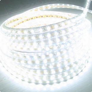 Wholesale 5m Led Strips 5050 Single Color/rgb Led Waterproof Smd 300 Leds Flexible Led Strips Light Cars Party Free Shipping