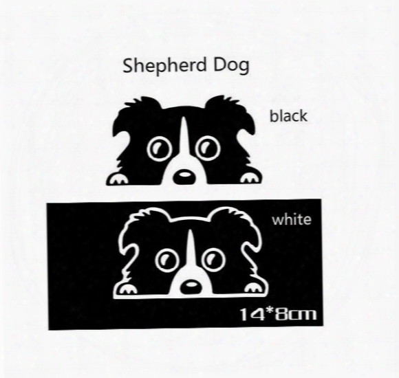 Pet Dog Border Collie Sticker Dog Border Collie Reflective Sticker Self Adhesive Vinyl Wallpaper Bumper Stickers Wholesale Price Car Sticker