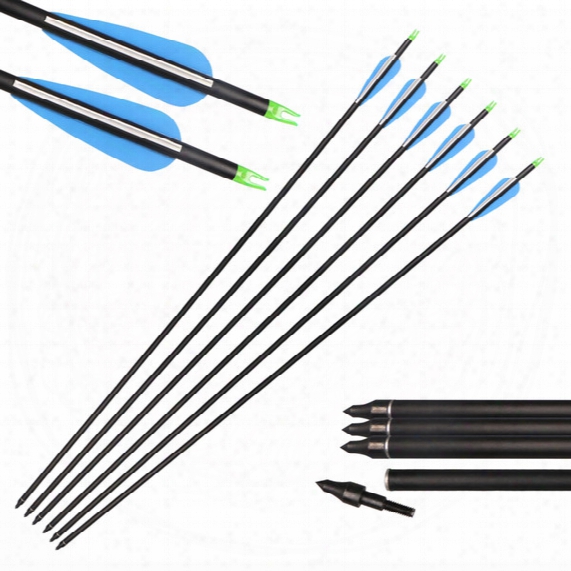 12pcs Huntingdoor 31-inch Carbon Arrows With Field Points Replaceable Tips Plastic Vanes For Hunting And Shooting Target Practice