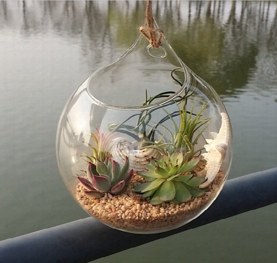 3pcs Hanging Glass Air Plants,indoor Wall Glass Vase For Home Decoration,garden Decoration
