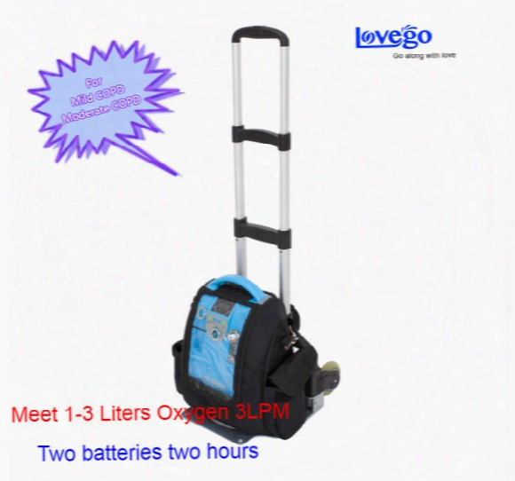 5lpm Portable Oxygen Concentrator With Two Batteries For Car/travel/home Use/ With Two Years Warranty/free Shipping By Fast Express
