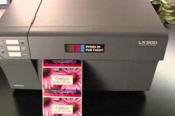 Lx900 Inkjet Chip For Primera Color Label Printer