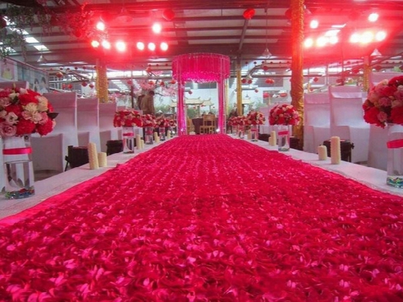 New Romantic Wedding Carpet Centerpieces Favors 3d Rose Petal Carpet Aisle Runner For Wdding Party Decoration Supplies White Red Purple
